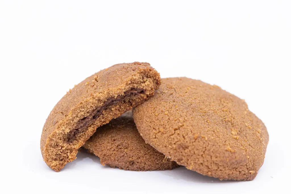 Can Dogs Eat Ginger Snap Cookies?