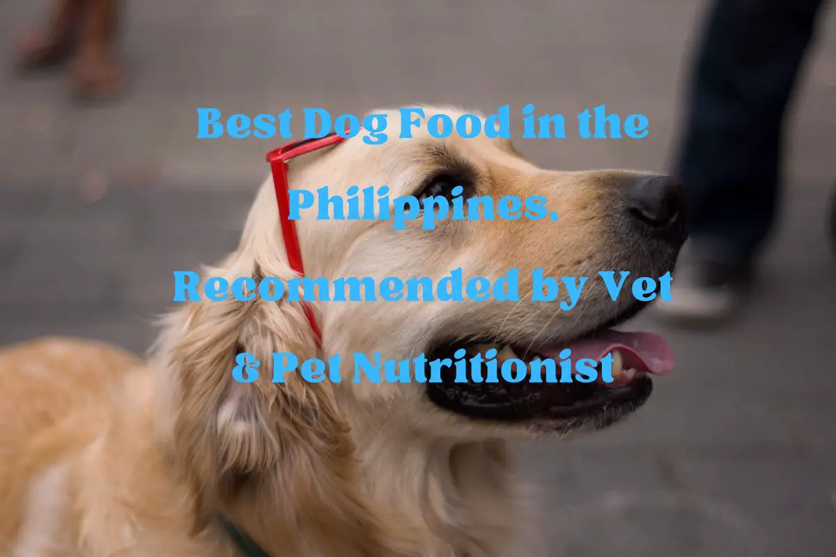 Best Dog Food in the Philippines