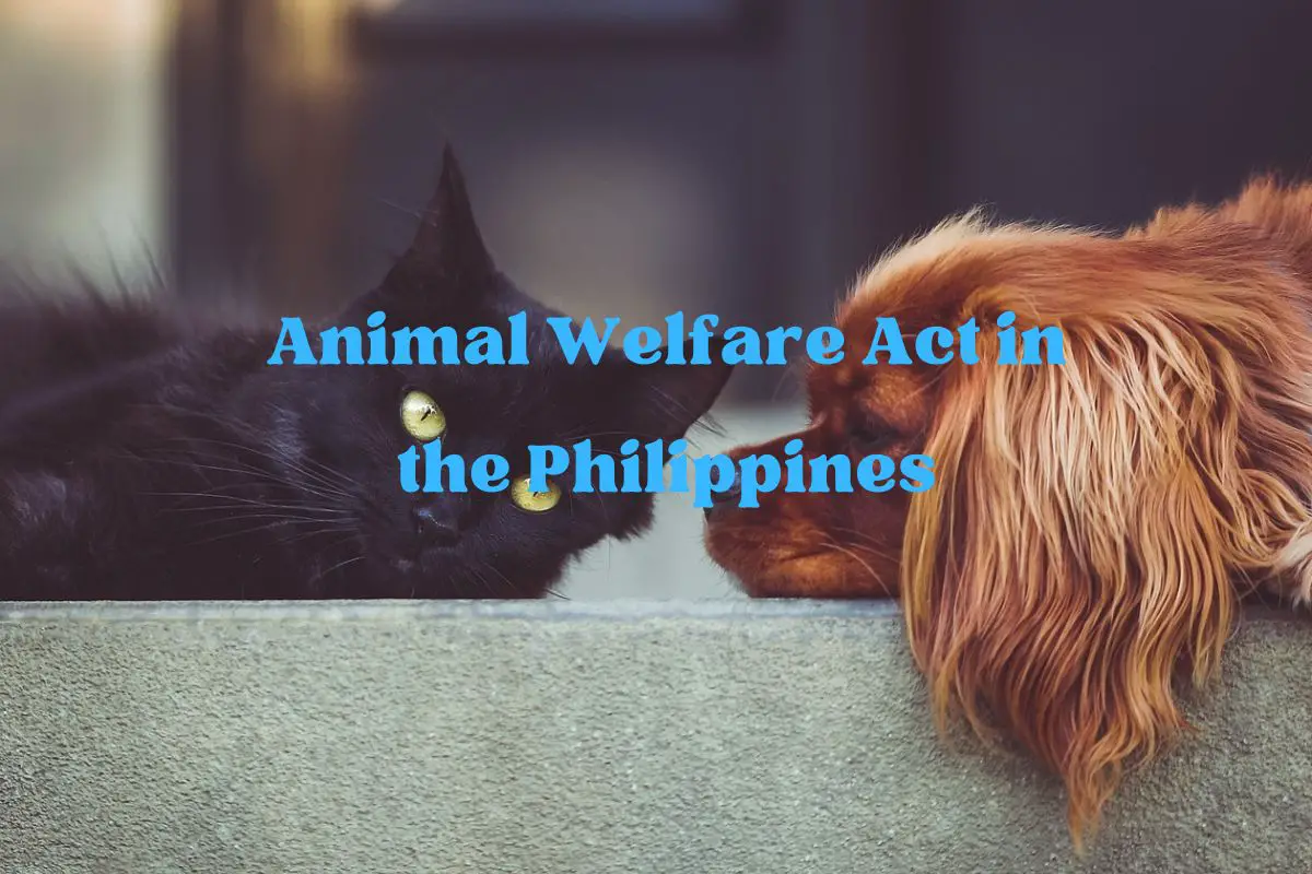 Animal Welfare Act in the Philippines