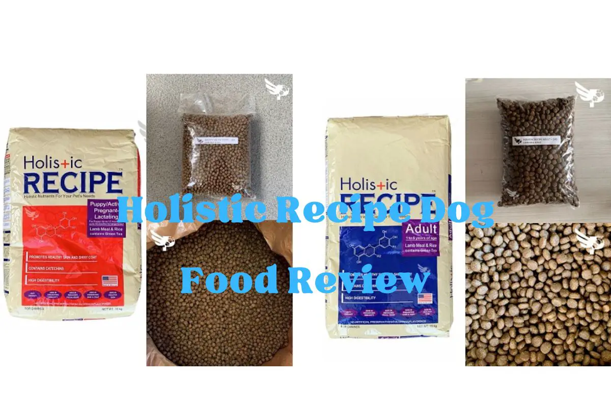 Holistic Recipe Dog Food Review