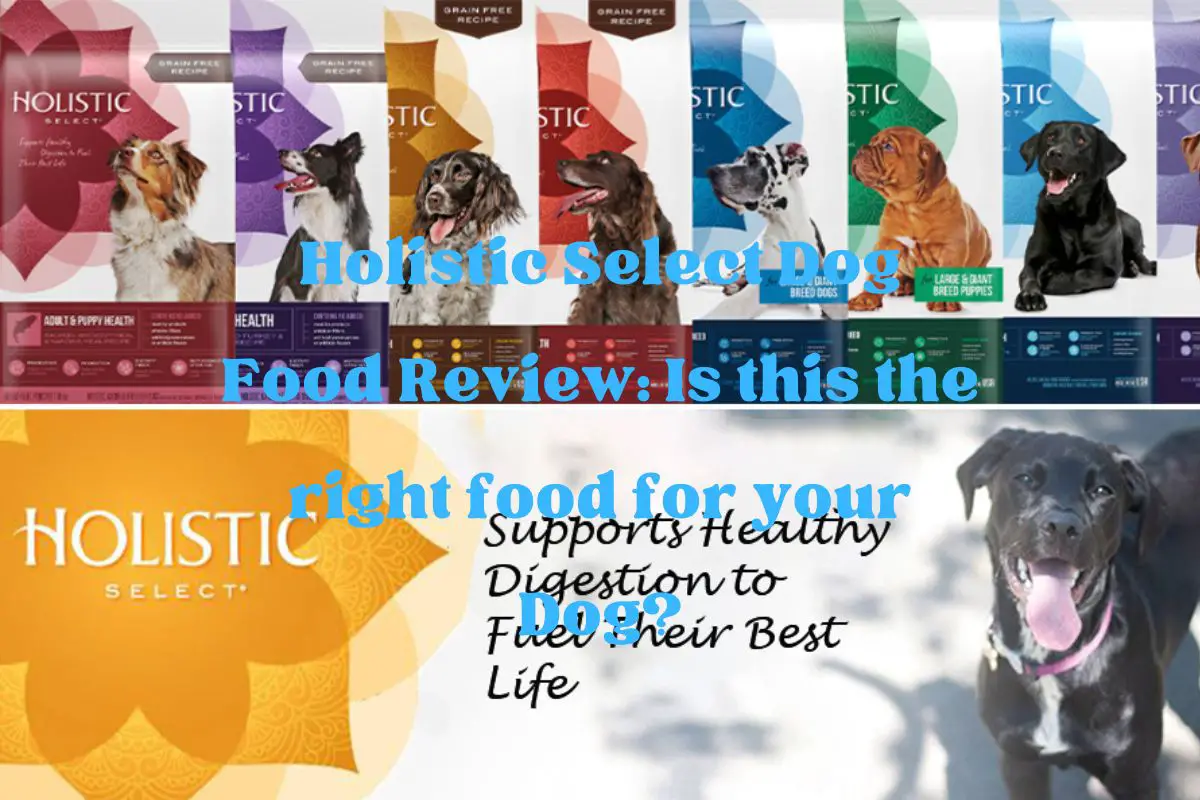 Holistic Select Dog Food Review