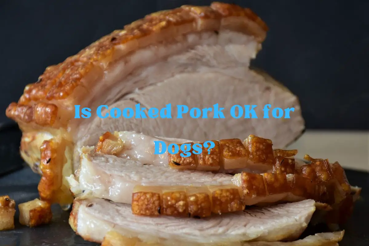 Is Cooked Pork OK for Dogs?