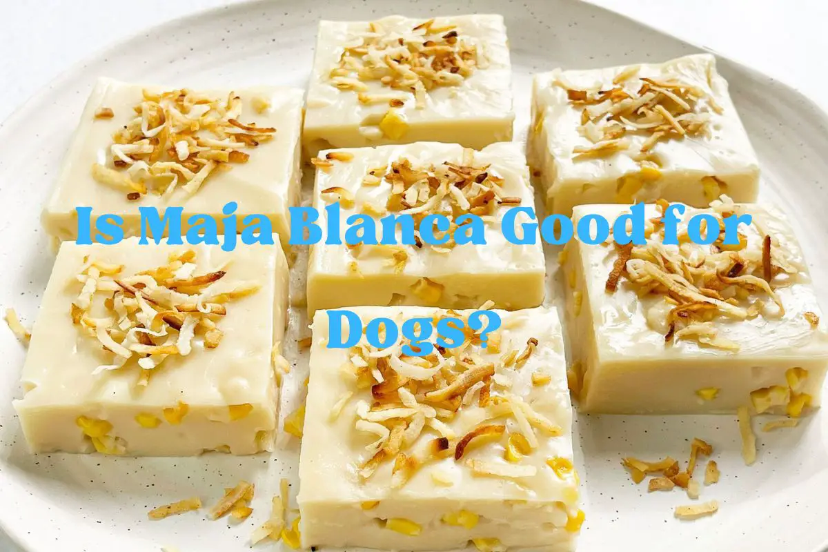 Is Maja Blanca Good for Dogs?