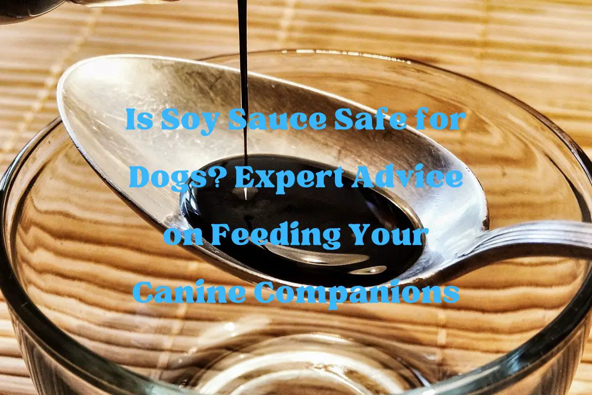 Is Soy Sauce Safe for Dogs