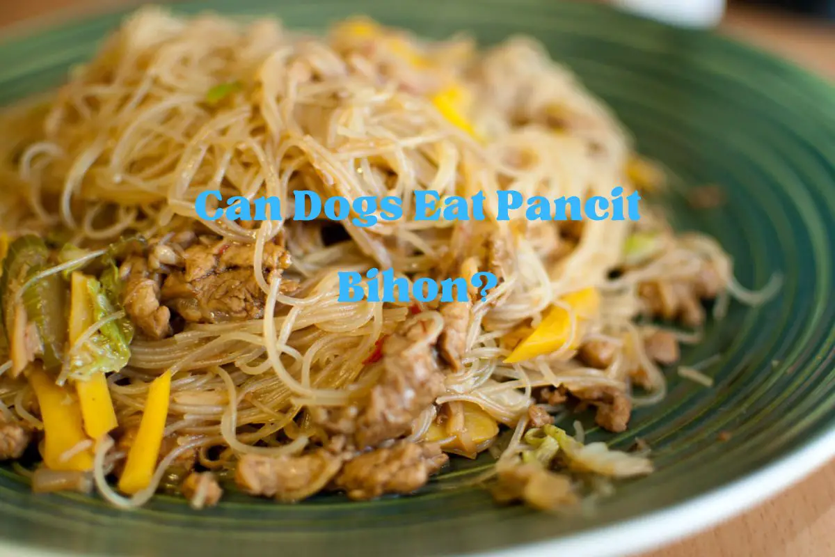 Can Dogs Eat Pancit Bihon?