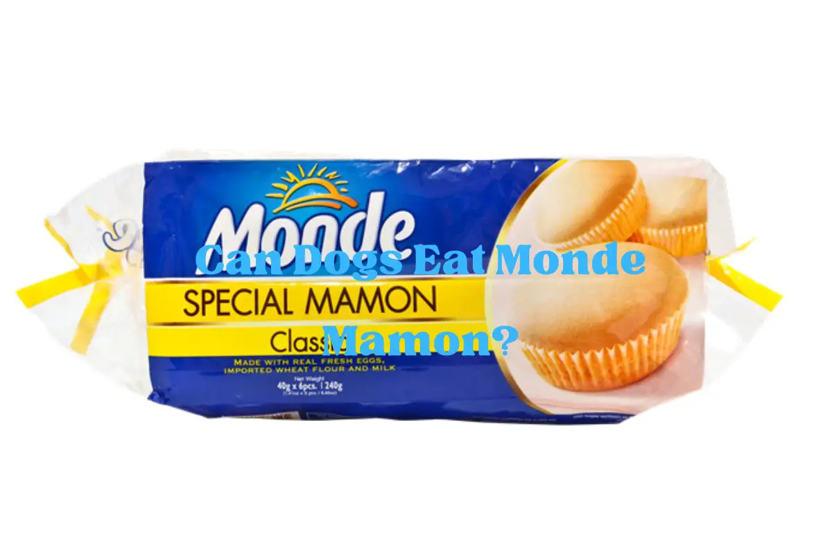 Can Dogs Eat Monde Mamon?