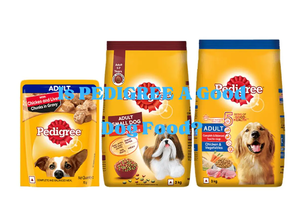 Is PEDIGREE A Good Dog Food?