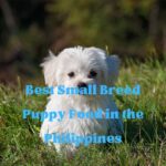 Best Small Breed Puppy Food in the Philippines