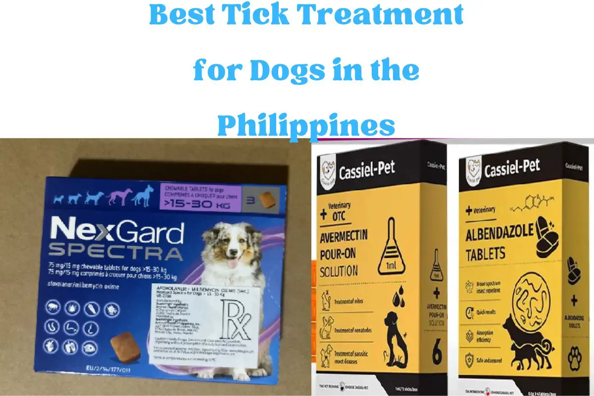 Best Tick Treatment for Dogs in the Philippines