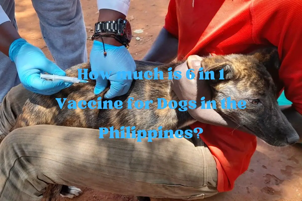 How much is 6 in 1 Vaccine for Dogs in the Philippines?