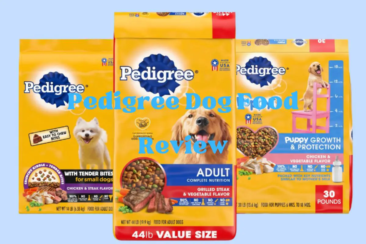 Pedigree Dog Food Review