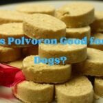 Is Polvoron Good for Dogs?