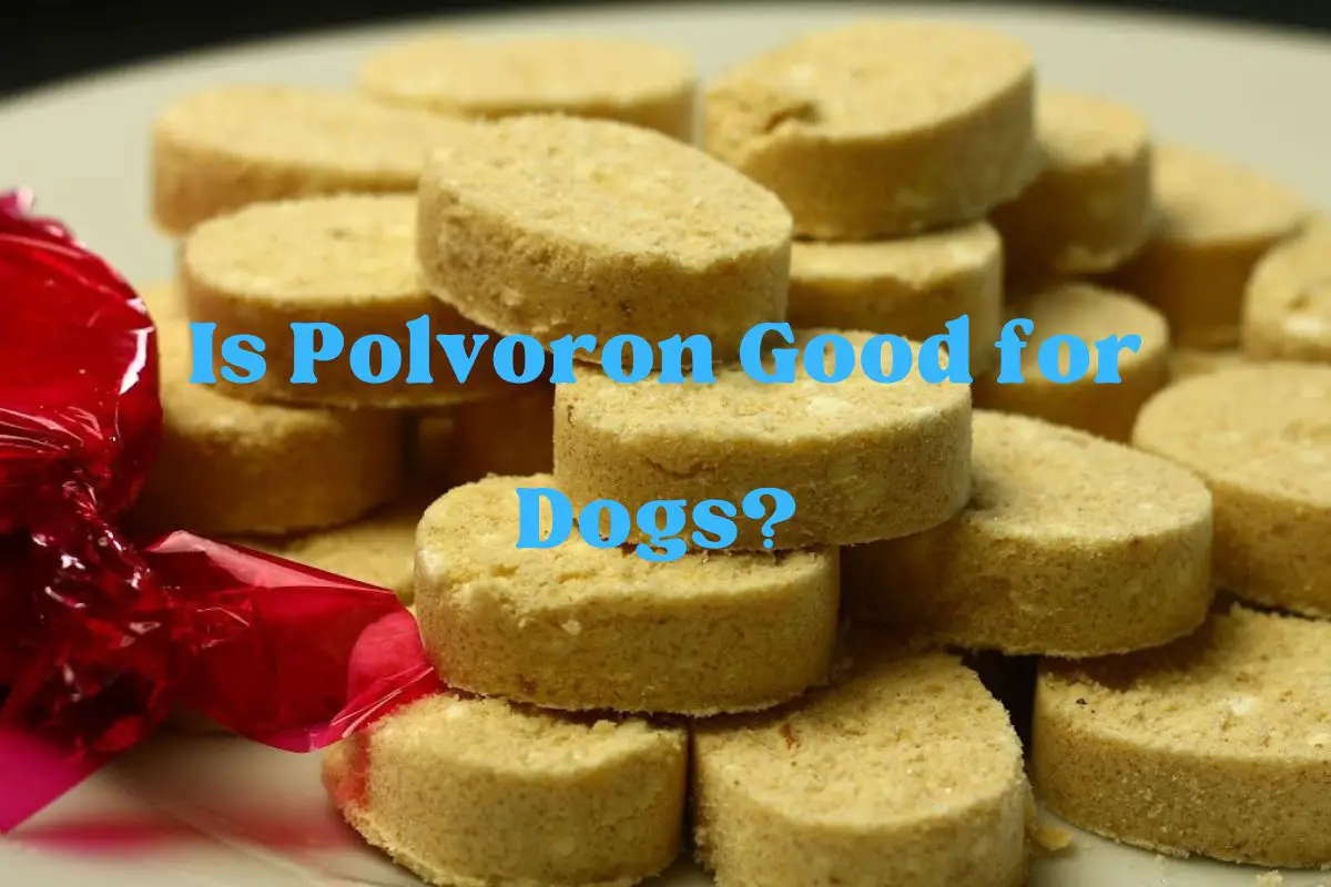 Is Polvoron Good for Dogs?