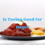 Is Tocino Good for Dogs?